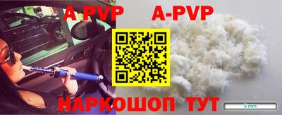 таблы Гусев