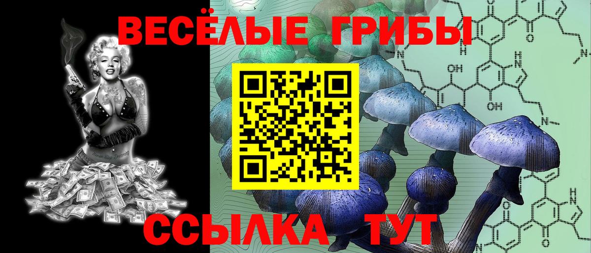 Галлюциногенные грибы GOLDEN TEACHER  Псилоцибиновые грибы прущие грибы  Нефтеюганск  Вход с VPN 